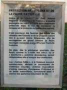web.selection.free.fr Survilliers