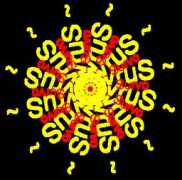 Survo