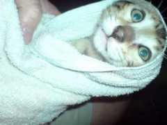 miciny.cz Susit