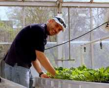 plantsciences.ucdavis.edu Suslow