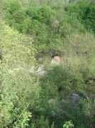panoramio.com Susnjara