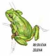 stezka.hamerskypotok.cz Sussich