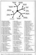 molecularassembler.com Suthakorn
