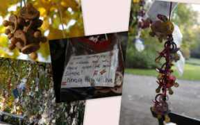 blogs.denmark.dk Sutte