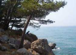 panoramio.com Suvajac