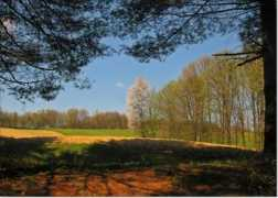 panoramio.com Suvajac