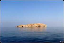 Suwadi