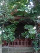 Suwaj