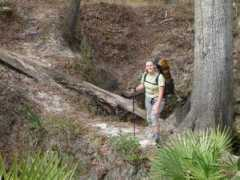 Suwannee