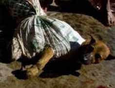 internethaber.com Suwardi