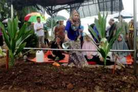 bharian.com.my Suzaini