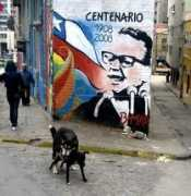 Suzarte