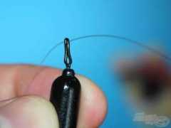 topfish.rs Suzeni