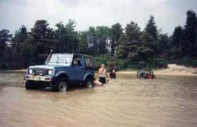 Suzukis