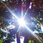 effenberger.blog.sme.sk Svetlo