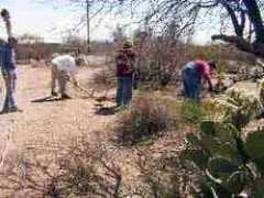 caneloproject.com Swalin