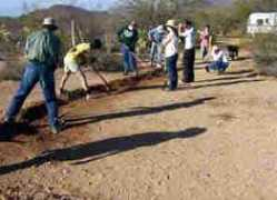 caneloproject.com Swalin