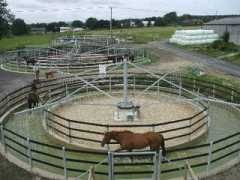 naturallyhorses.org.uk Swalker