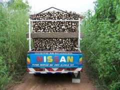 classifieds.agriscape.com Swame