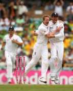 Swann