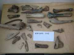 dayofarchaeology.com Swarman