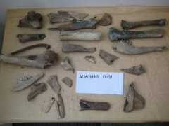 dayofarchaeology.com Swarman