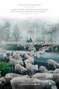 sweetgrassthemovie.com Sweetgrass