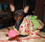 minpins.mgbeng.com Sweetp