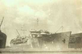 Swegle