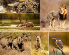 luxurysafarilodges.com Sweni