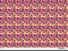 colourlovers.com Swert