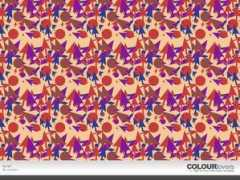 colourlovers.com Swert