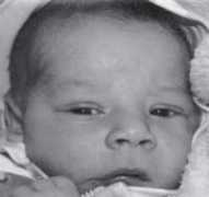 houghtonlakeresorter.com Swiatkowski