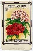 seedart.com Swilliam