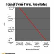 blog.roodo.com Swineflu