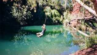 Swingy