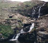 swaledalemrt.org.uk Swinner
