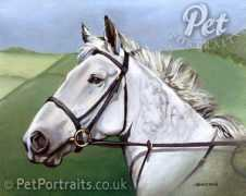 petportraits.co.uk Swithin
