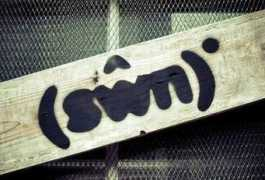 Swn