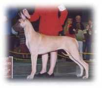 daystardanes.com Swyn