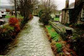 pennal.gwynedd.sch.uk Sychan
