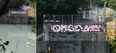ekosystem.org Syfer