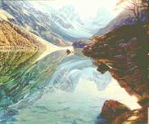 netlist.co.nz Sylvienne