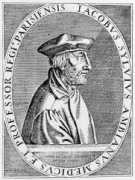 Sylvius