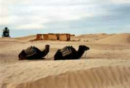 trekearth.com Syndical