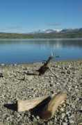 Sysen