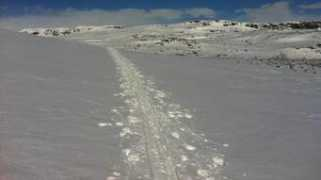 Sysen