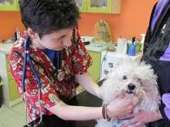 taborsky.denik.cz Szemanova