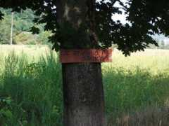 biciklitura.dombalo.com Szemet