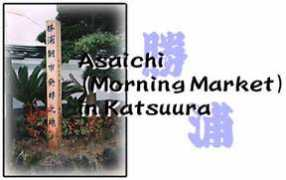 Taasa
